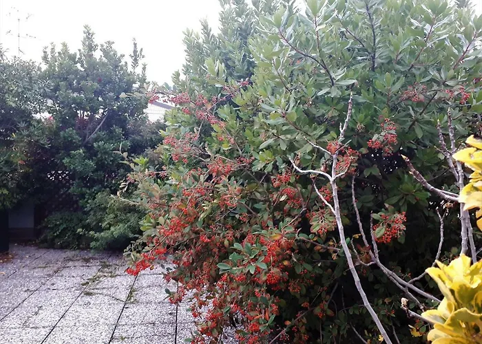 לינה וארוחת בוקר Fiera - Mini Attico 4*