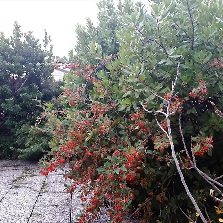 Bed & Breakfast Fiera - Mini Attico 4*